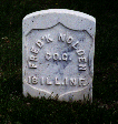 Cass County Illinois tombstones